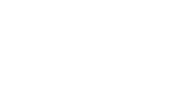 Divisionist Films